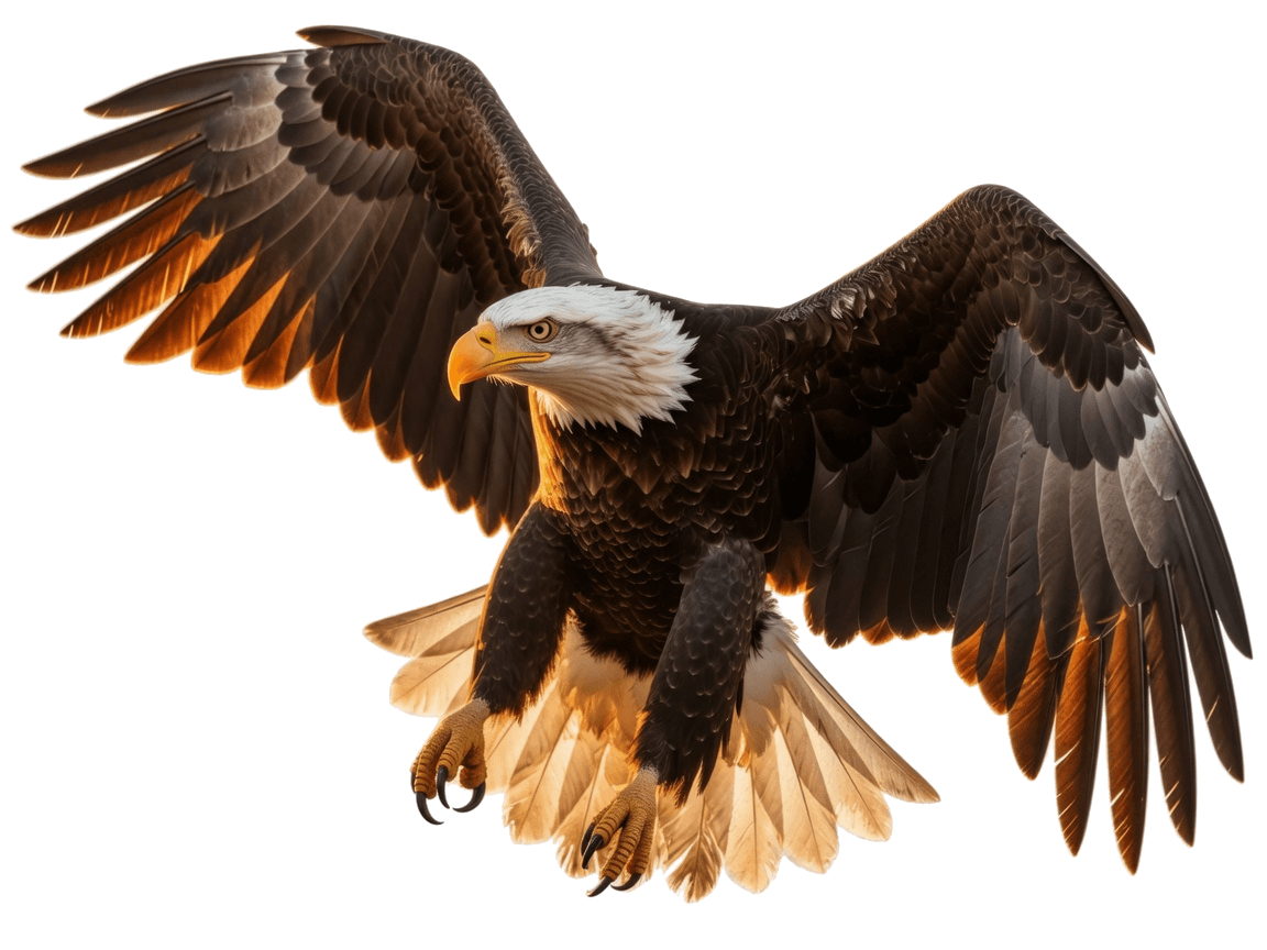 Bald eagle with spread wings — Patriotic Peptides